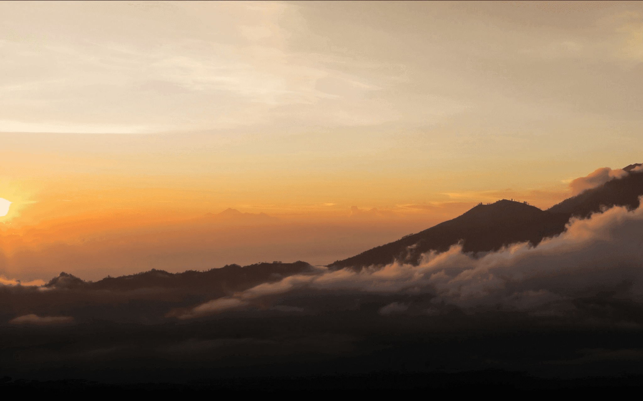 SwiftNine team in the office